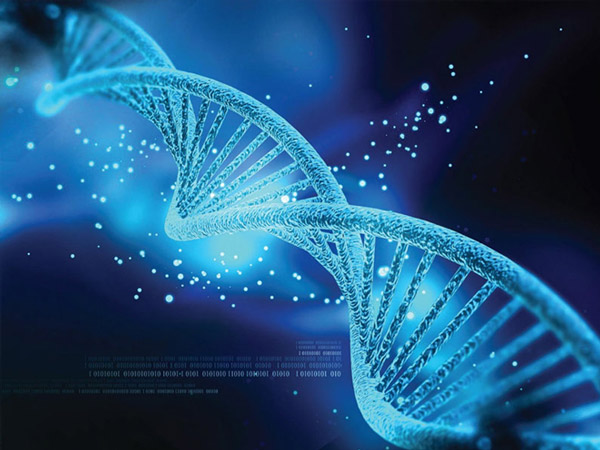 Gen di truyền một trong những yếu tố gây hình thành khối u tuyến giáp
